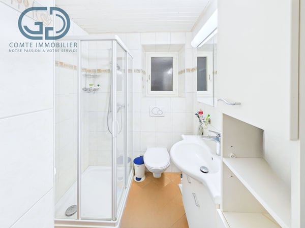 Appartement de 3.5 pces au centre du village 7