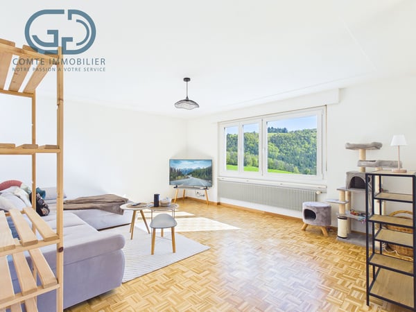 Appartement de 4.5 pces au 9ème étage 2