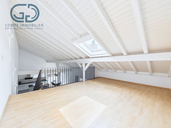 Jolie villa individuelle de 5.5 pces 11
