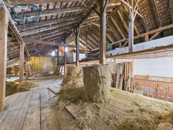 Ancienne ferme rénovée avec écurie et terrain 12