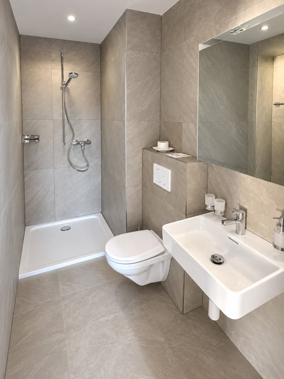Superbe appartement de 4.5 pces à louer 9