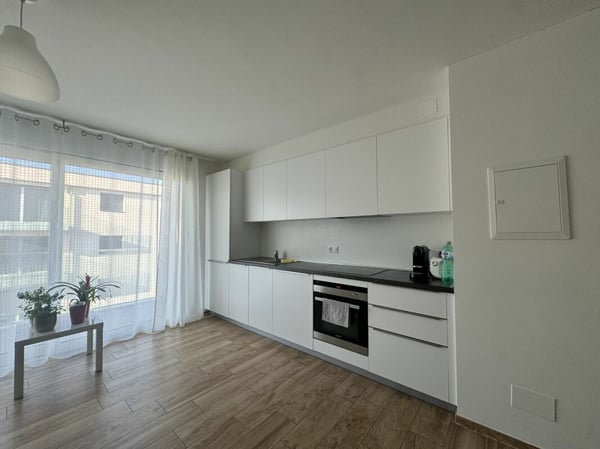 Luminoso e moderno appartamento 2,5 locali