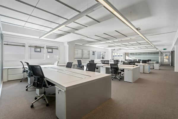 Stabile multifunzionale flessibile e modulabile da 500 a 4010 mq 2