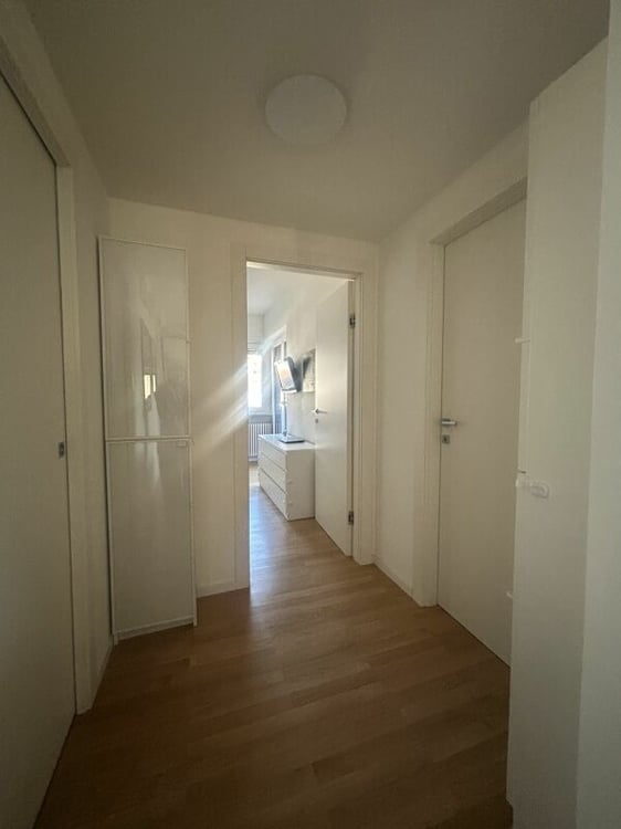 Bellissimo appartamento 1.5 locali ristrutturato 3