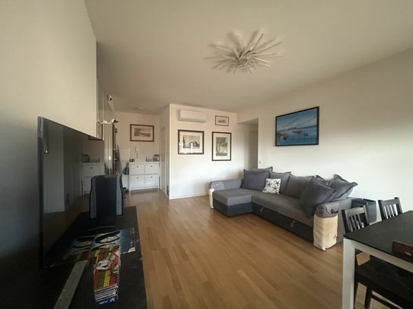 Bellissimo appartamento 1.5 locali ristrutturato 4