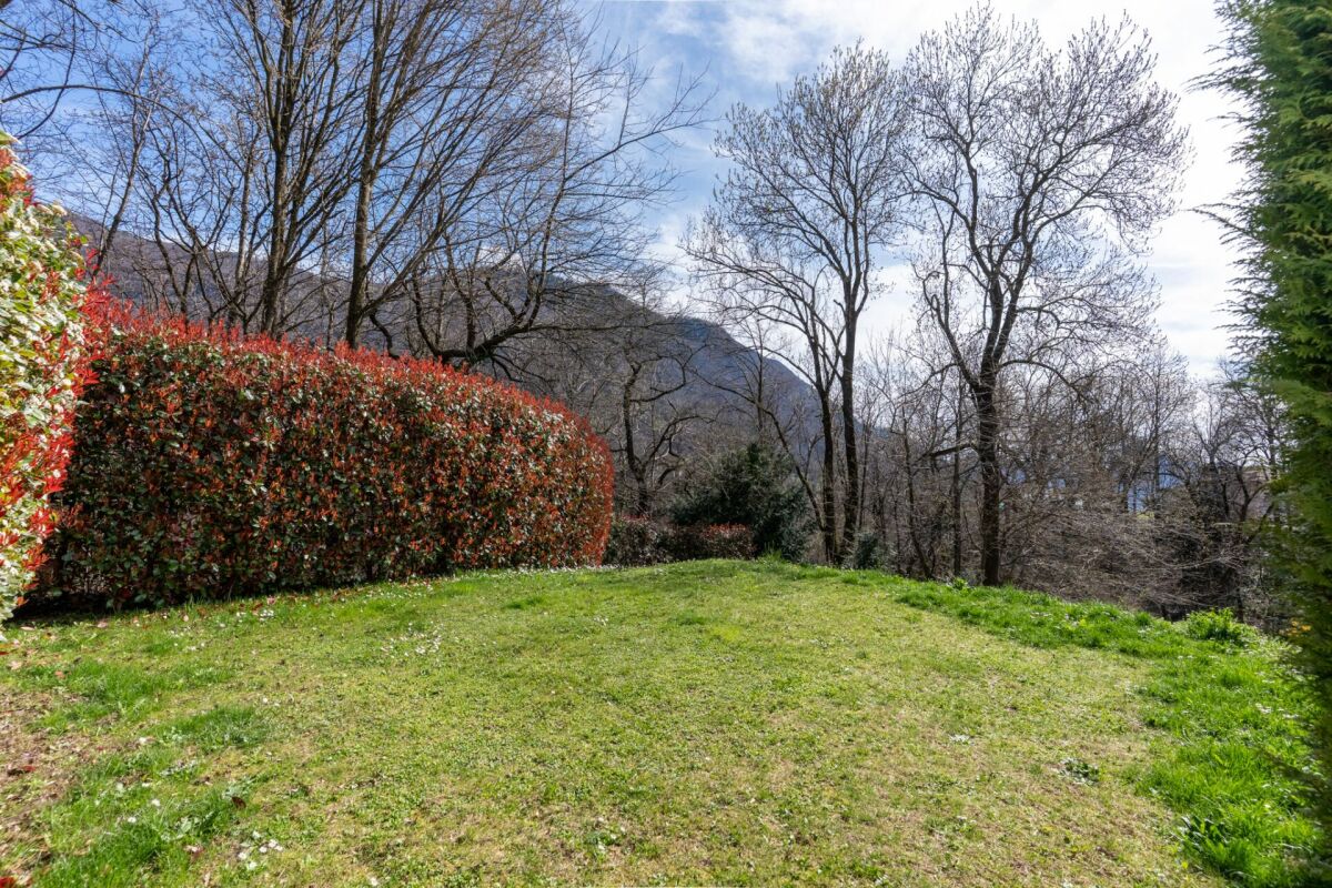 Casa d'arte immersa nella natura con piscina