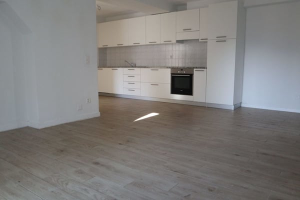 Interessante e nuova palazzina a reddito immersa nel verde, Olivone 3