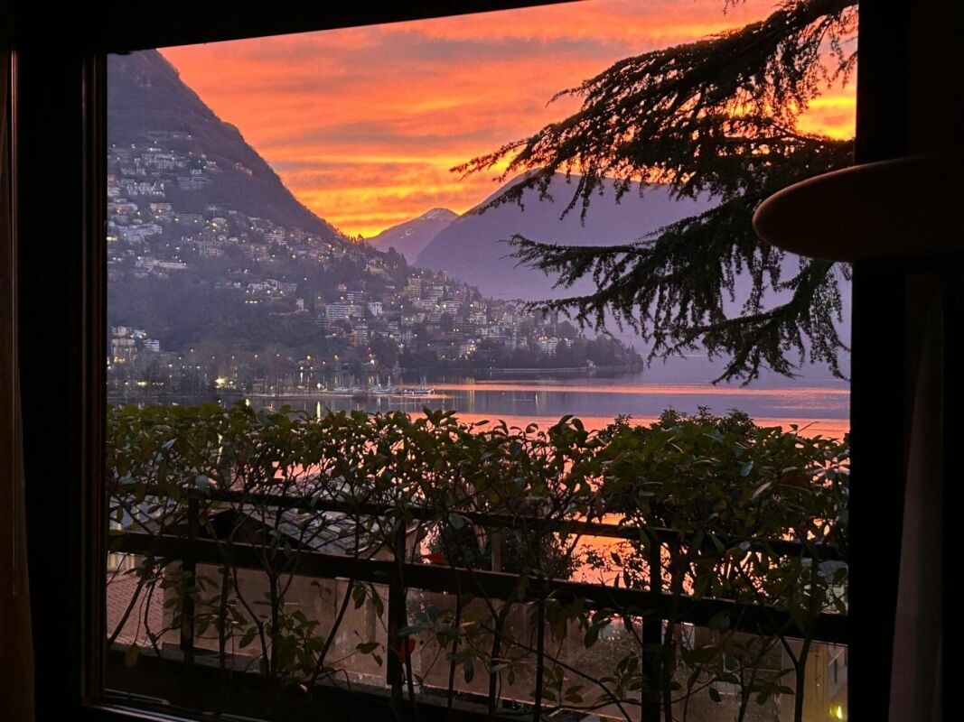 Splendido 3,5 in centro città con vista lago
