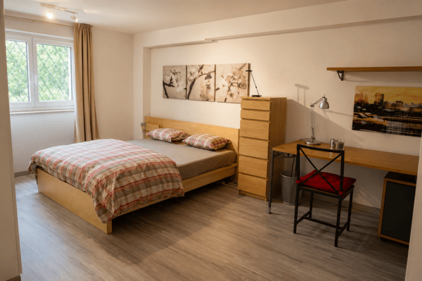 2.5 locali ammobiliato con splendido giardino 2