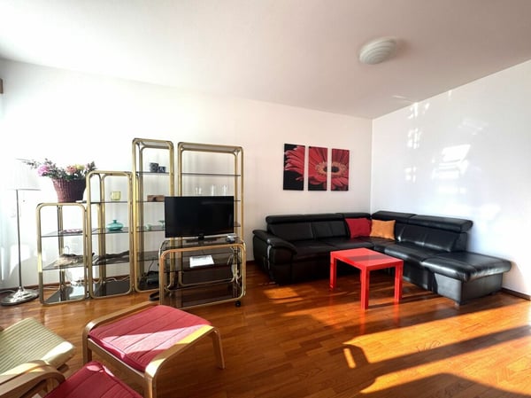 Stupendo 3,5 locali ammobiliato con vista lago 2
