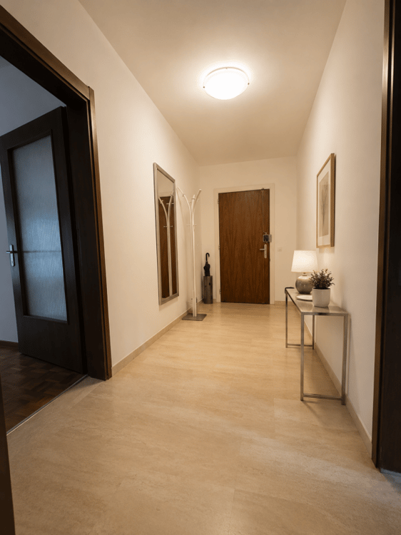 Ampio appartamento 2,5 locali 3