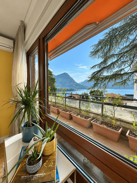 Splendido 2.5 in centro città con vista lago 11