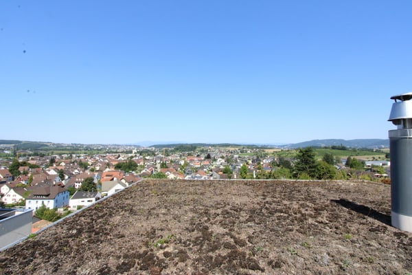 1-Zimmer-Einfamilienhaus mit traumhafter Aussicht 11
