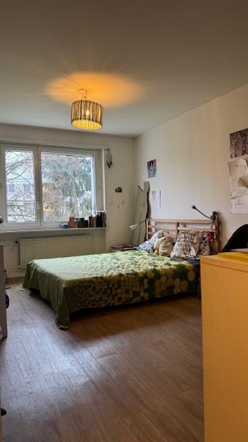 1.0 Zimmerwohnung in Dübendorf 7