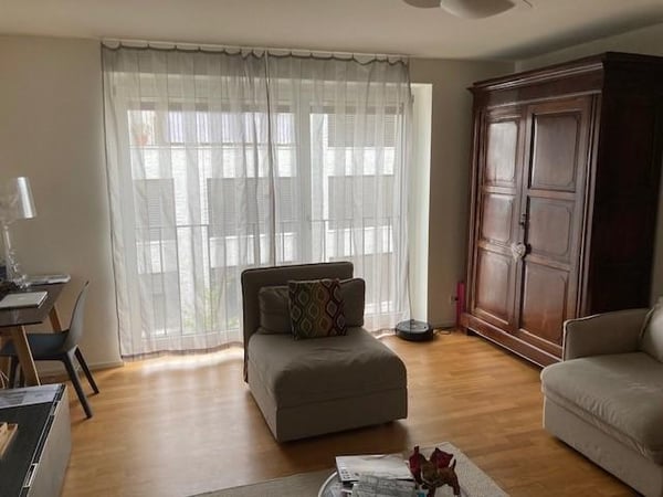3.5 Zimmerwohnung in Uster 2