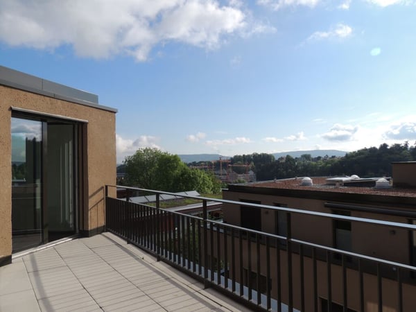 Helle, grosszügige und möbelierte 1.5-Zimmerwohnung 8