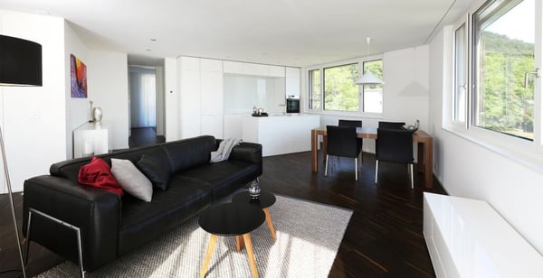 Helle, grosszügige und möbelierte 1.5-Zimmerwohnung 4