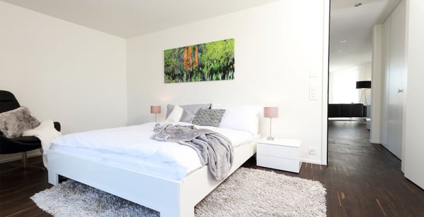 Helle, grosszügige und möbelierte 1.5-Zimmerwohnung 6