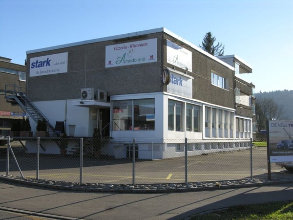 Gewerbefläche in Dällikon 7