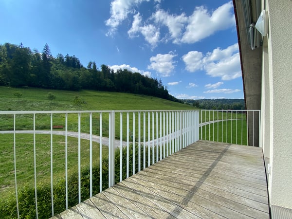 Blick ins Grüne, Schwedenofen zum Geniessen. 8