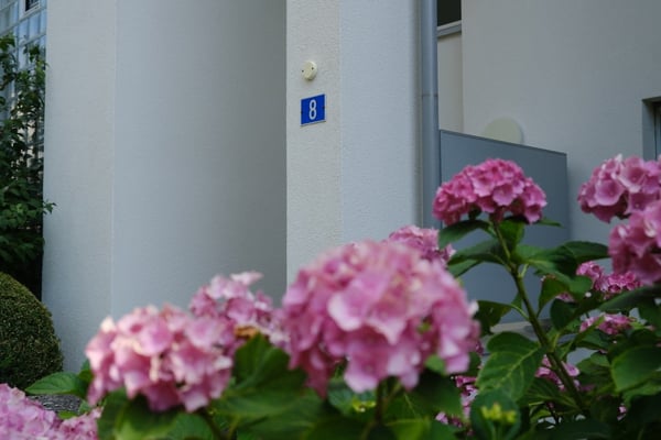 Sonnige 3.5-Zimmer-Wohnung mit herrlicher Weitsicht auf der Forch, Küsnacht 2