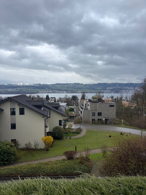 Aerial view of a residential area with houses, a lake, and a mountain range in the distance