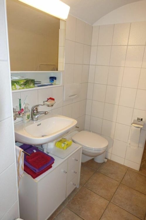 Einfamilienhaushälfte mit schönem Gartenhaus und grossem Grundstück 8