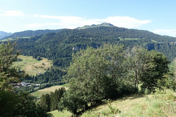 Baugrundstück für Erst- oder Festwohnsitz 2