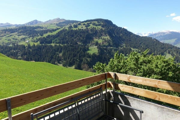 4½-Zimmer-Wohnung im 1. Obergeschoss mit ausbaubarem Estrich 3