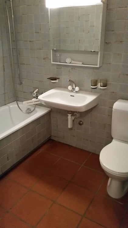Helle 1.5-Zimmer-Wohnung mit Balkon und Garage in Schänis 4