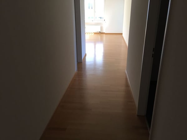 Sonnige, neu renovierte Wohnung 7