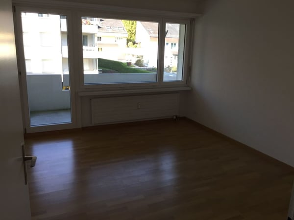 Sonnige, neu renovierte Wohnung 6