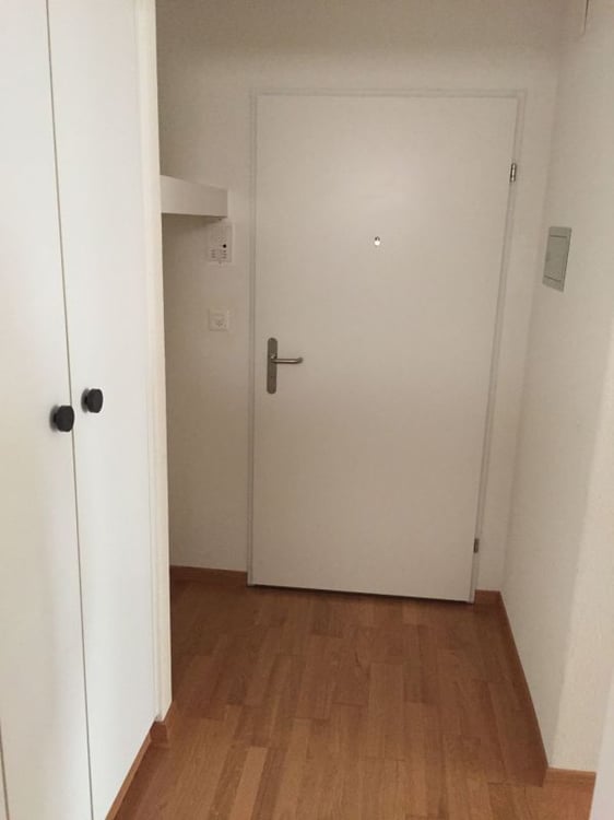 Sonnige, neu renovierte Wohnung 4