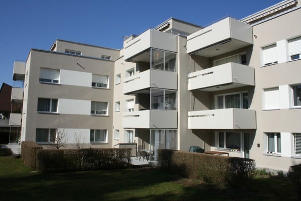 Sonnige, neu renovierte Wohnung 1