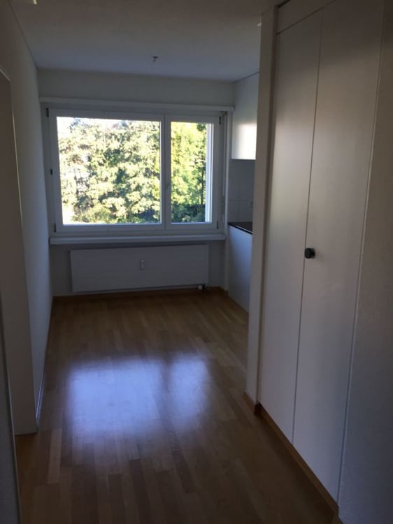 Sonnige, neu renovierte Wohnung 8