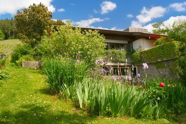 Repräsentatives 1½-Zimmer-Einfamilienhaus – Exklusives Wohnen am sonnigen Rebhang 3