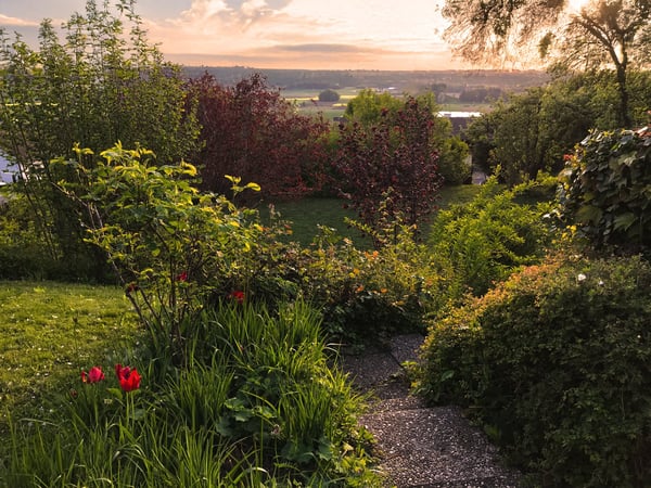 Repräsentatives 1½-Zimmer-Einfamilienhaus – Exklusives Wohnen am sonnigen Rebhang 4