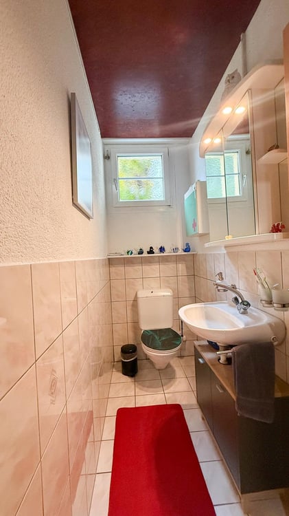 4.5-Zimmer Gartenwohnung mit grossem Sitzplatz - wohnen wie im Einfamilienhaus 6