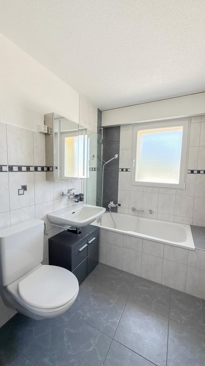 Schicke 2½-Zi.-Attika mit grosser Terrasse & Weitsicht in Grub AR 10