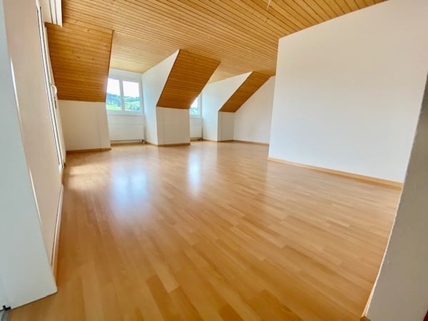 Grosszügige 1.5-Zimmer-Dachwohnung 10