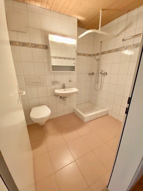 Grosszügige 1.5-Zimmer-Dachwohnung 4