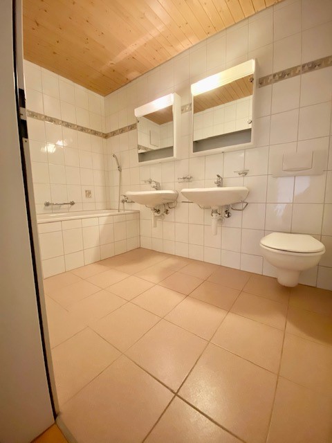 Grosszügige 1.5-Zimmer-Dachwohnung 3