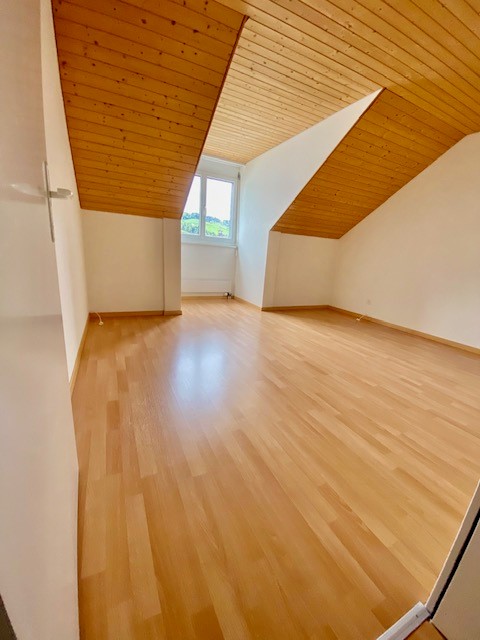 Grosszügige 1.5-Zimmer-Dachwohnung 7