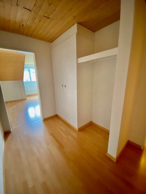 Grosszügige 1.5-Zimmer-Dachwohnung 5