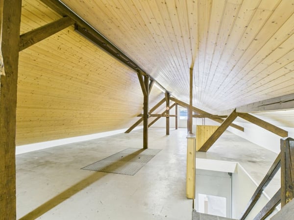 Vielseitige Liegenschaft mit Wohn und Gewerbenutzung 5