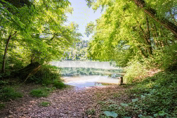 Historisches Burggebäude Wasserstelz in Lienheim 36