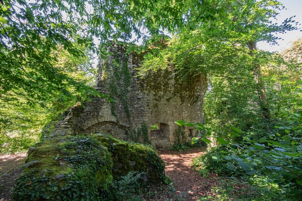 Historisches Burggebäude Wasserstelz in Lienheim 43