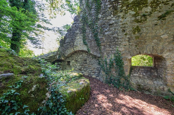 Historisches Burggebäude Wasserstelz in Lienheim 42