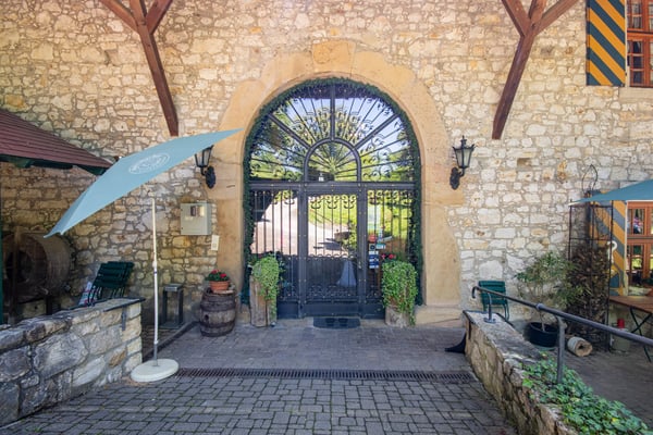 Historisches Burggebäude Wasserstelz in Lienheim 4