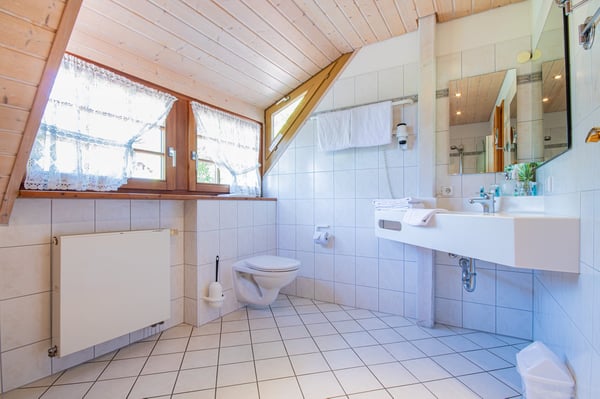 Historisches Burggebäude Wasserstelz in Lienheim 22